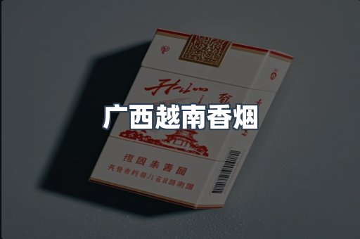 广西越南香烟